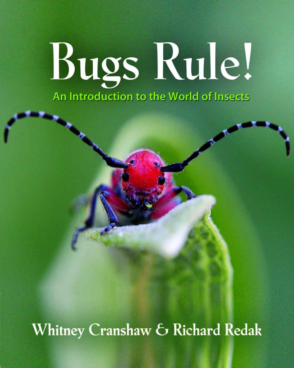 Bugs Rule Bugs Rule An Introduction to the World of Insects WHITNEY CRANSHAW - photo 1