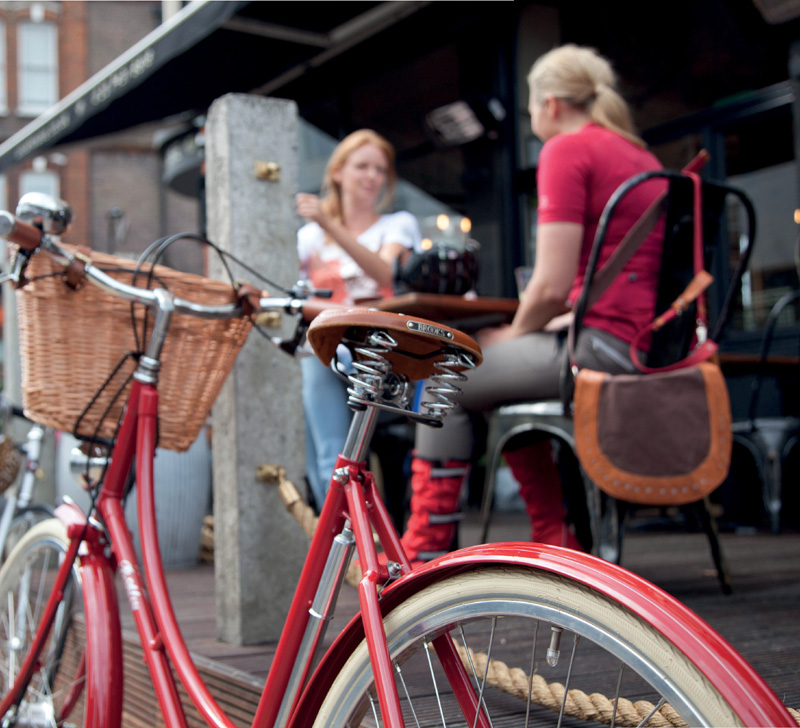 The Girls Bicycle Handbook Everything You Need to Know About Life on Two Wheels - image 1