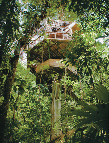 Finca Bellavista is creating a sustainable treehouse community in Costa Rica - photo 5