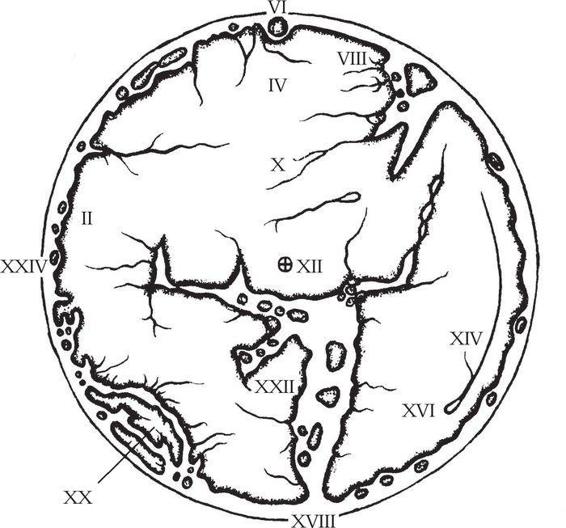 Schematic of the Hereford mappa mundi c1300 with selected features of the - photo 3