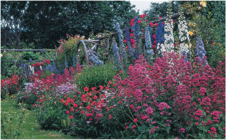 My fathers garden Victoria British Columbia Canada PREFACE With our feet - photo 4