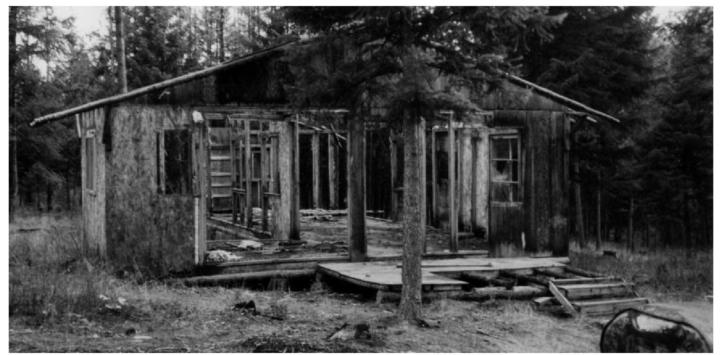 A partially completed cabin in our area evidence of a failed attempt at living - photo 14