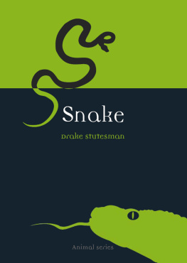 Drake Stutesman - Snake