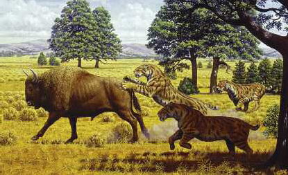 A group of Smilodon fatalis a Pleistocene-era sabre-toothed cat hunting a - photo 4