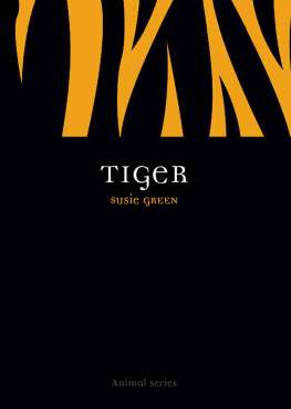 Susie Green - Tiger