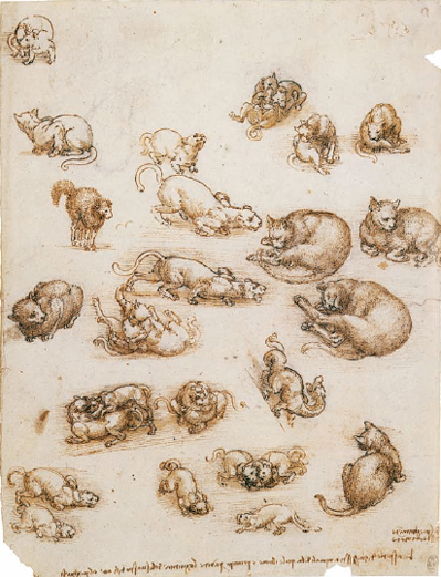 Ink sketches of cats in motion or at rest by Leonardo da Vinci c 1510s Cats - photo 5