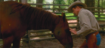 Tom Booker Robert Redford comforts Pilgrim in The Horse Whisperer 1998 - photo 6
