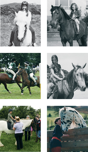 The family pony from 1965 to 2007 The decorative potential of horses a - photo 7