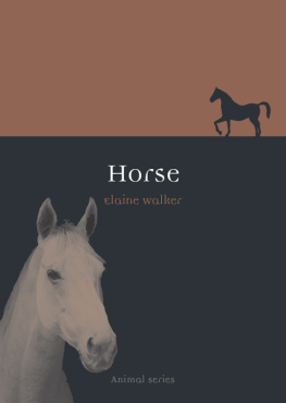 Elaine Walker - Horse