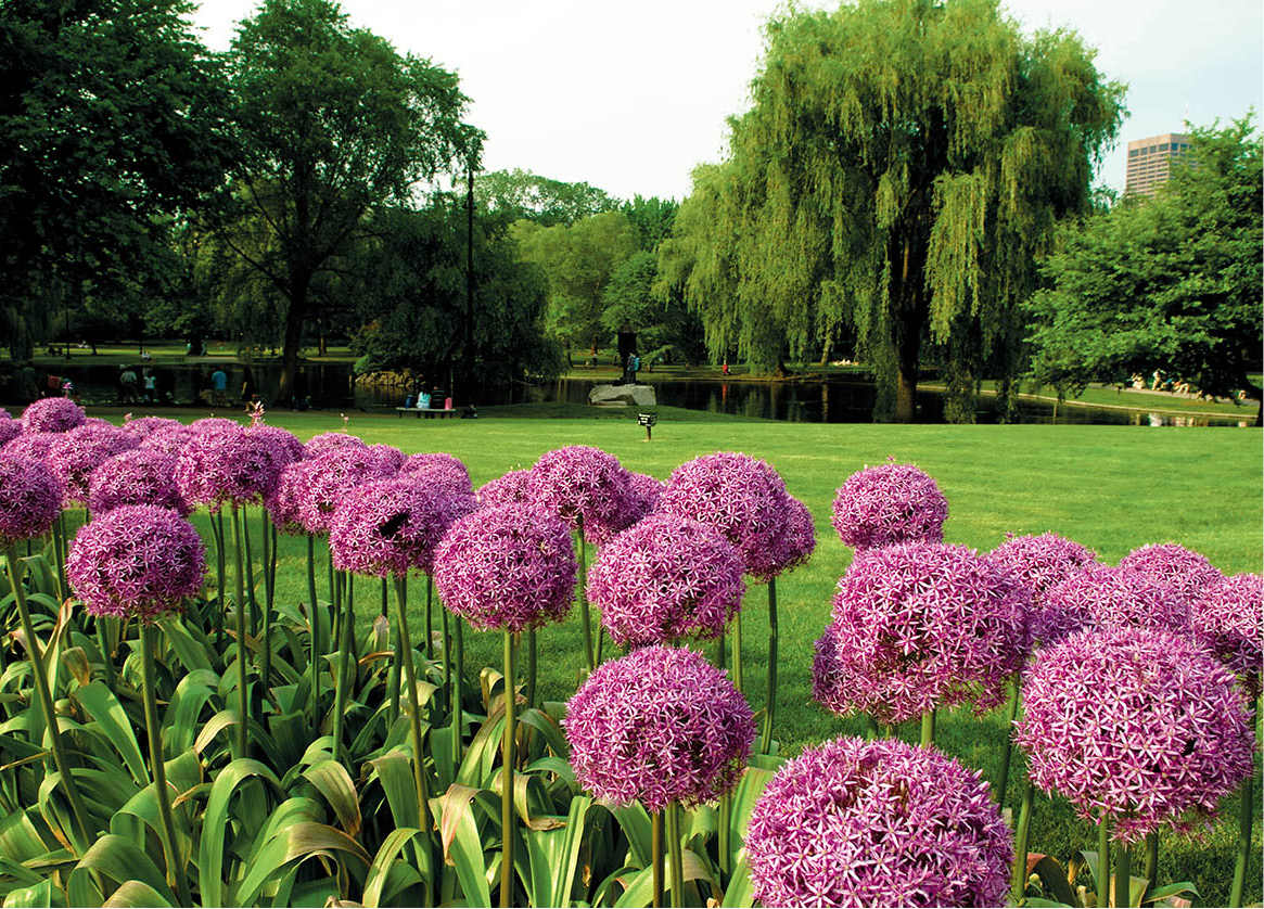 Parks and gardens Bostons Emerald Necklace of parks and gardens extends from - photo 9