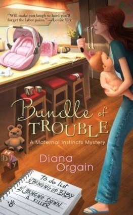 Diana Orgain - Bundle of Trouble