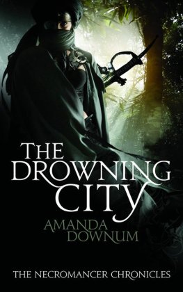 Amanda Downum The Drowning City