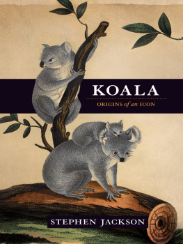 Stephen Jackson Koala: Origins of an Icon