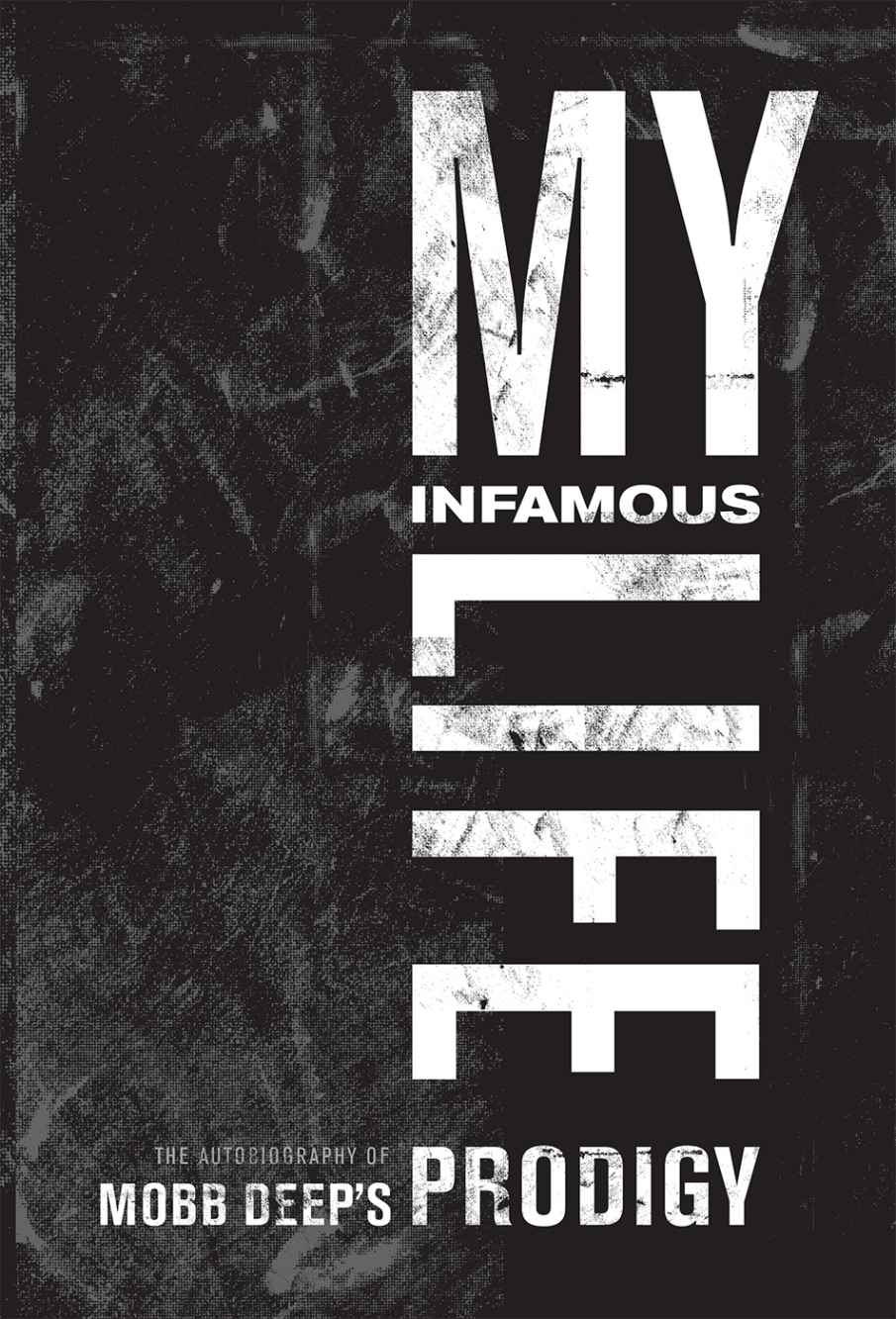 My Infamous Life The Autobiography of Mobb Deeps Prodigy - image 10