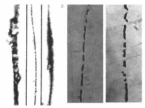 Fig 12 How do you tell a fossil from a rock The formations shown here have - photo 4