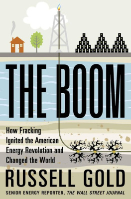 Russell Gold - The Boom: How Fracking Ignited the American Energy Revolution and Changed the World