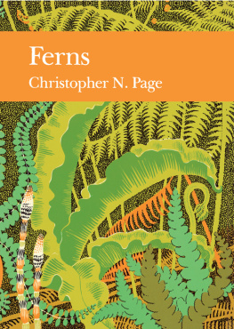 C.N. Page Ferns