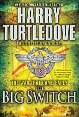 Harry Turtledove - The Big Switch