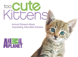 Animal Planet Too Cute Kittens: Animal Planets Most Impossibly Adorable Kittens