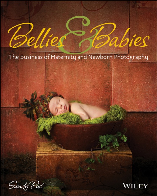 Babies Bellies The Art of Maternity Newborn Photography Published by John - photo 1