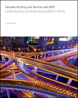 Alcatel-Lucent Versatile Routing and Services with BGP: Understanding and Implementing BGP in SR-OS