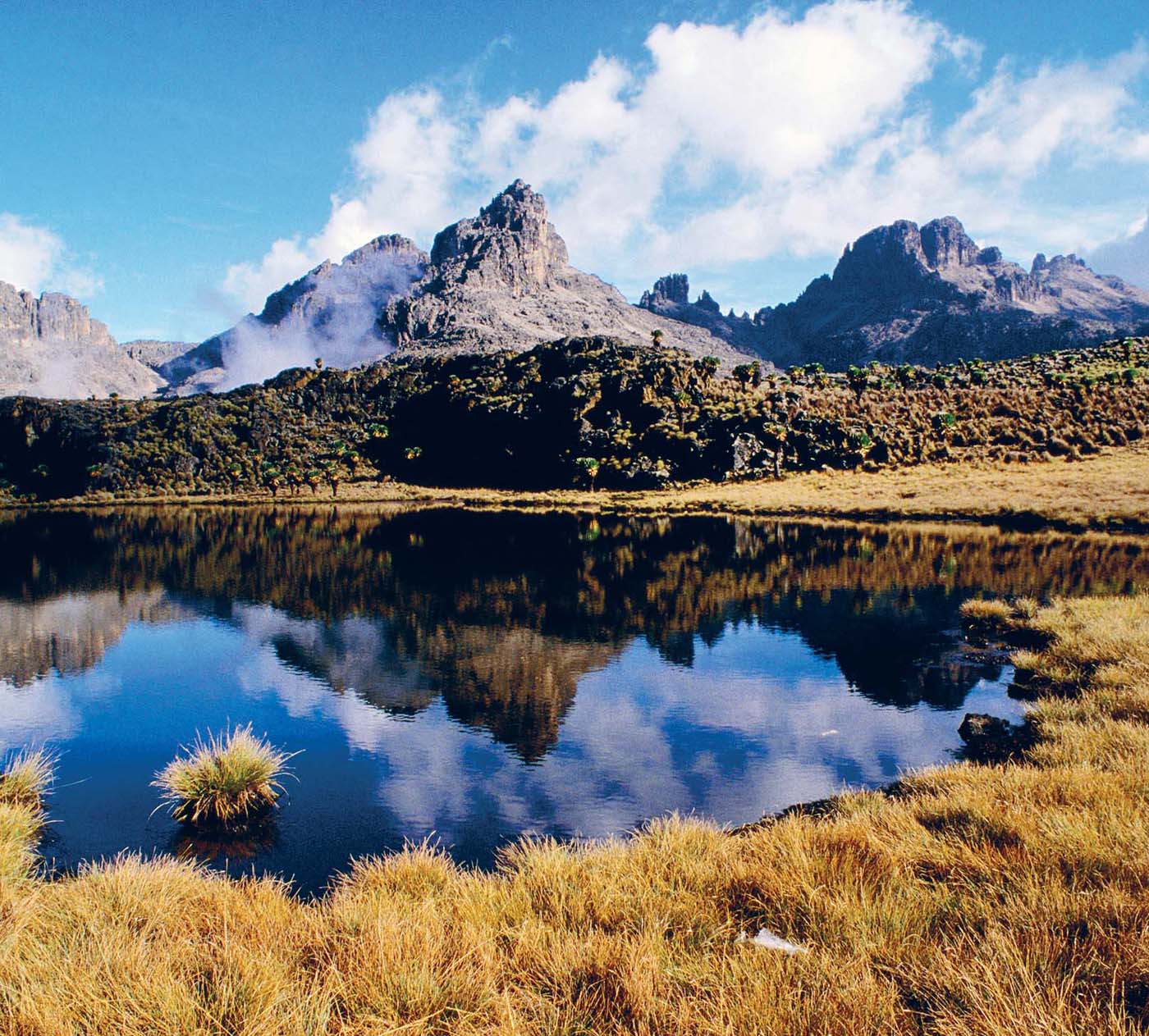 Chogoria route Mt Kenya GRANT DIXONLONELY PLANET IMAGES Kakamega Forest - photo 8