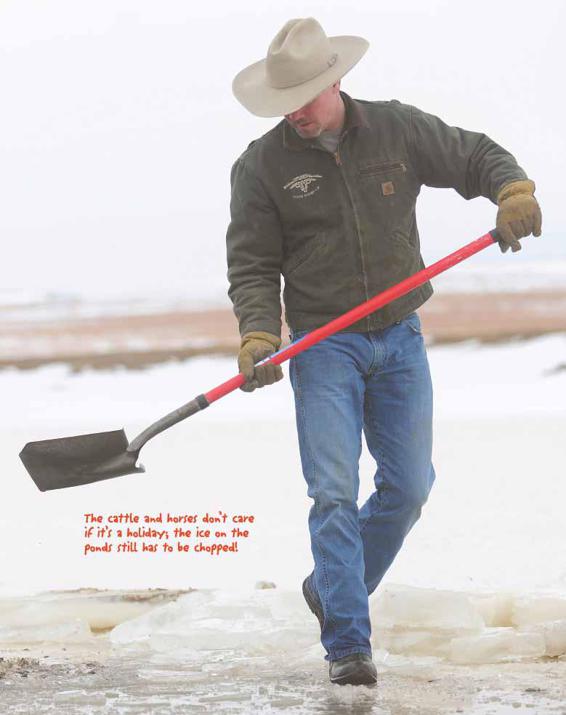 The cattle and horses dont care if its a holiday the ice on the ponds still - photo 20