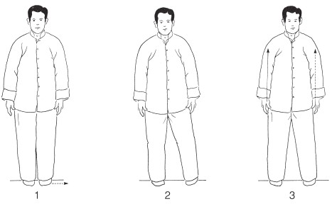 FORM TWO Part the Horses Mane Both Sides 1 Shift the weight to the - photo 6