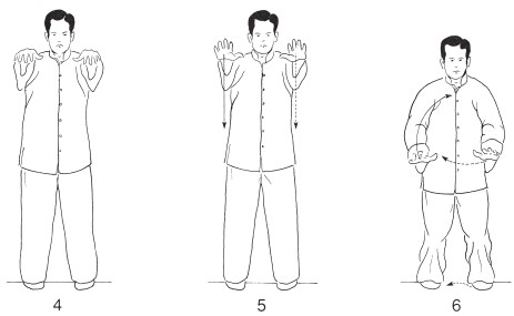 FORM TWO Part the Horses Mane Both Sides 1 Shift the weight to the - photo 7