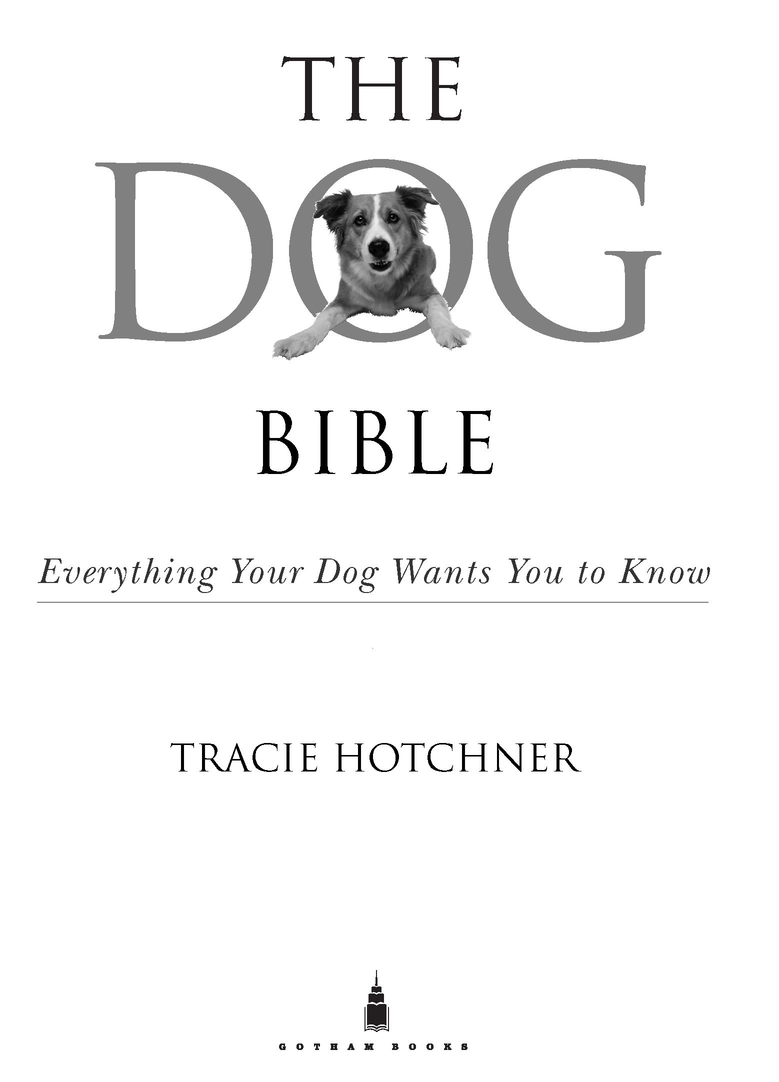 For My Father Who Inspired This Book and My Love for Dogs FOREWORD DOGS ARE - photo 2