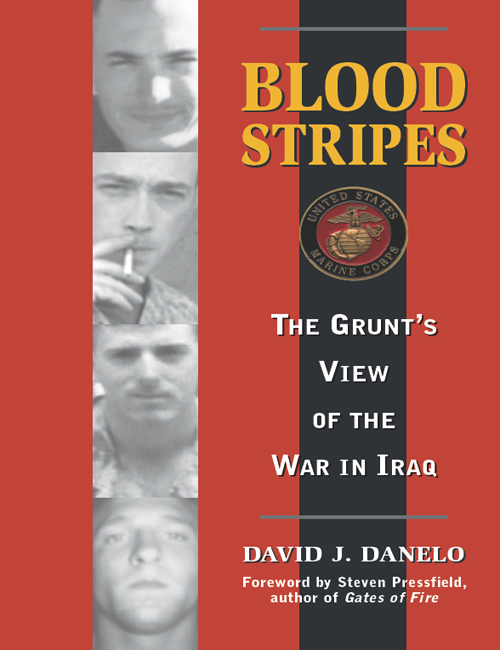 BLOOD STRIPES THE GRUNTS VIEW OF THE WAR IN IRAQ DAVID J DANELO - photo 1