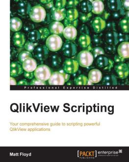 Matt Floyd QlikView Scripting