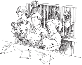 Poultry can be an ideal 4-H project For all the reasons one chooses to become - photo 7