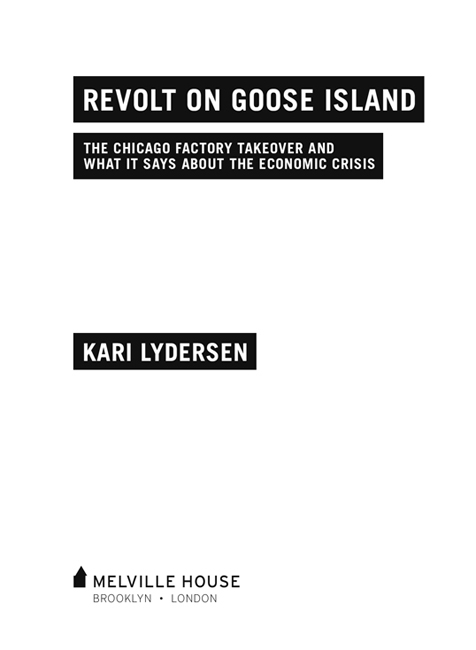 REVOLT ON GOOSE ISLAND REVISED EDITION Kari Lydersen 2009 2014 First - photo 2