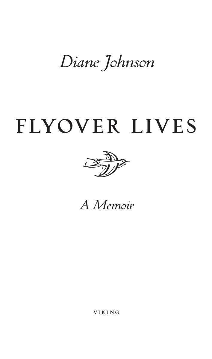 Flyover Lives A Memoir - image 2