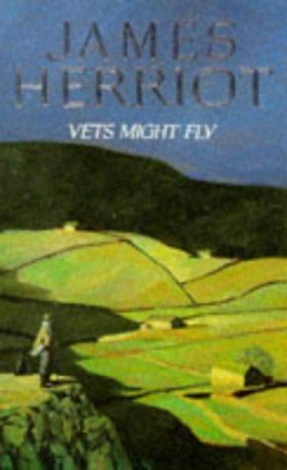 James Herriot Vets Might Fly