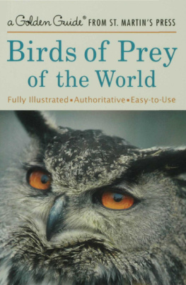Robin Chittenden - Birds of Prey of the World
