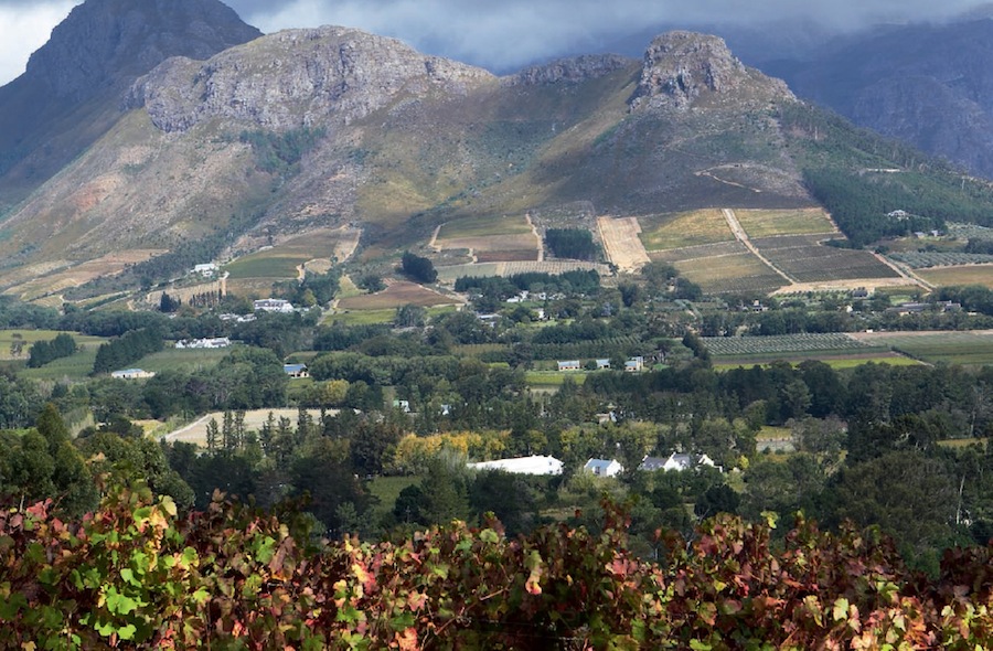 Foreword It was 25 years ago that Adr and I arrived in Franschhoek It was - photo 3