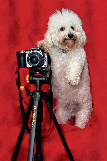 Kirby is more comfortable behind the camera CATSCAN Its never too late to - photo 6