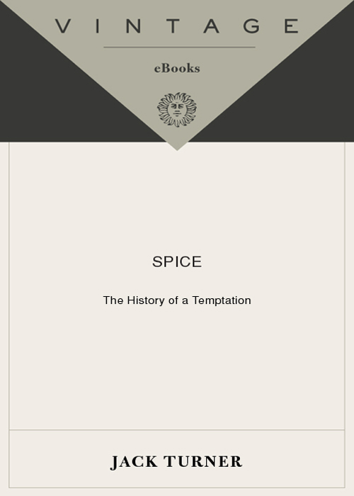 Spice The History of a Temptation - image 1