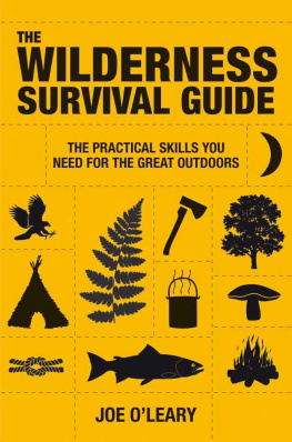 Joe OLeary - The Wilderness Survival Guide: The Practical Skills You Need for the Great Outdoors