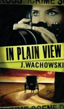 J Wachowski In Plain View 2010 Dear Reader Thank you for purchasing this - photo 1