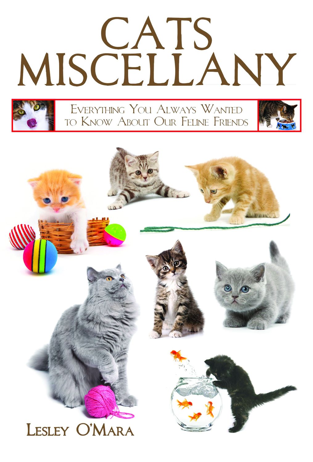 CATS MISCELLANY EVERYTHING YOU ALWAYS WANTED TO KNOW ABOUT OUR FELINE FRIENDS - photo 1