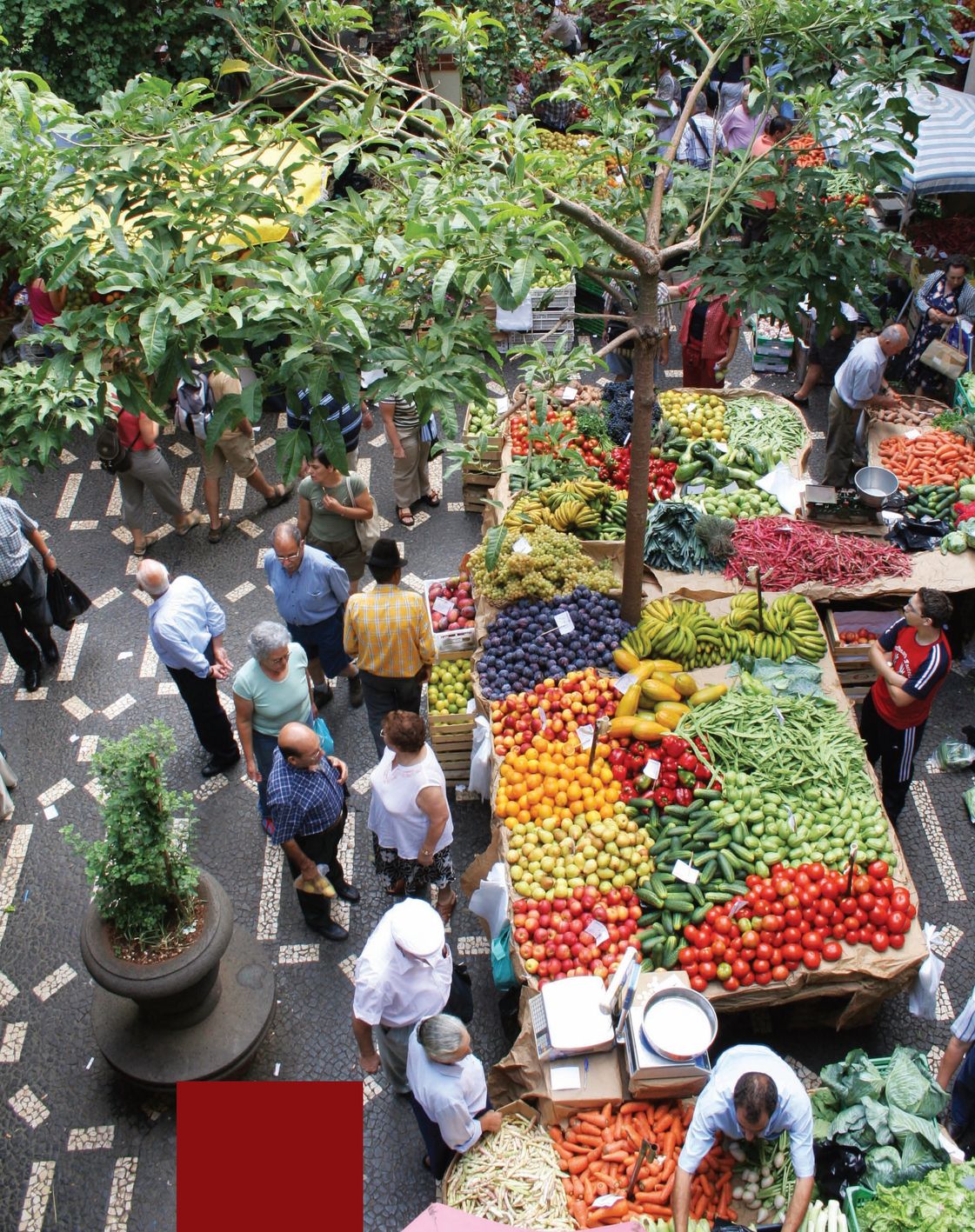 A typical street market in Funchal Madeira Island Portugal Tomatoes are - photo 5