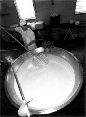 The fat content in cheese must be evaluated in comparison with its dry weight - photo 26