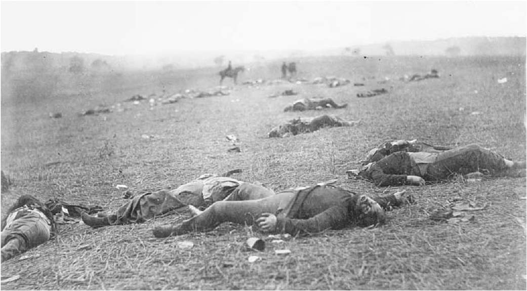A Harvest of Death Gettysburg July 1863 Copyright 2003 by Stephen W Sears - photo 1