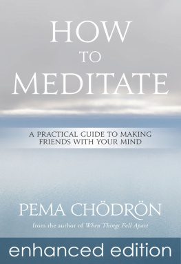 Pema Chodron - How to Meditate: A Practical Guide to Making Friends with Your Mind