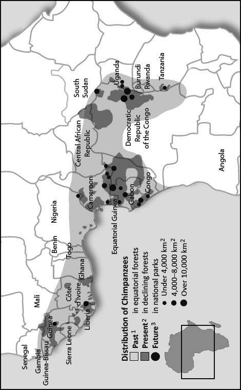 Likely historic distribution From Tess Lemon Chimpanzees London Whitlet - photo 2