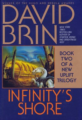 David Brin - Infinity's Shore