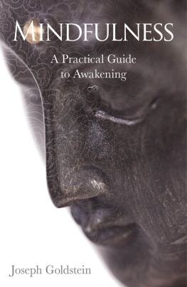 Joseph Goldstein Mindfulness: A Practical Guide to Awakening